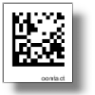 Contact Information for Business Networks of Arizona