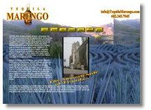 Tequila Marengo